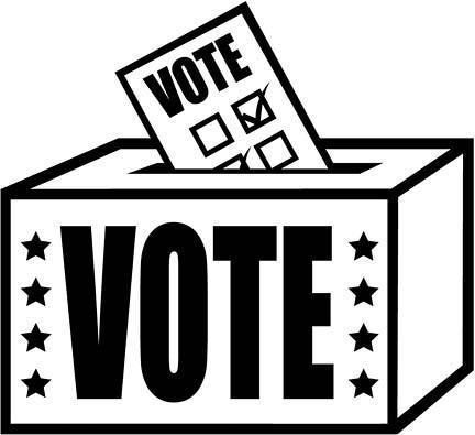Trustee Nomination/Election